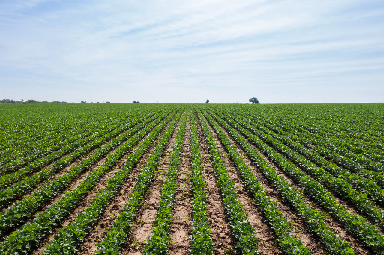 Farm GPS autosteering over soy fields in the Mid-South